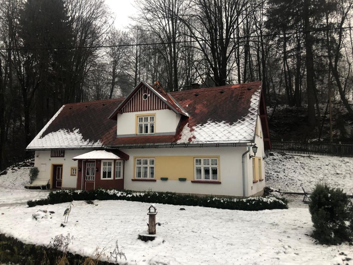 Adelle Cottage In Krkonose National Park Rudník Exterior foto